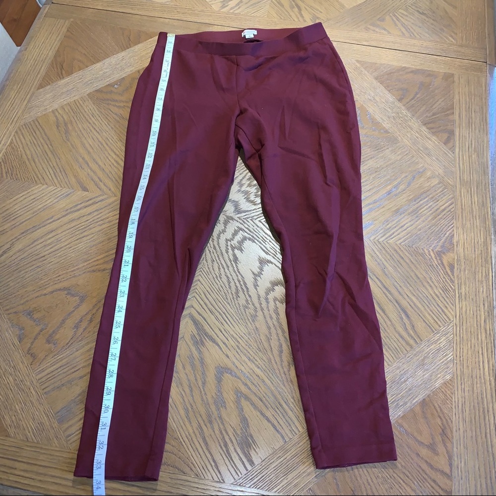 Cremieux Leggings
